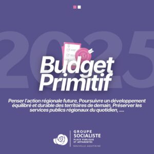 Infographie Budget Primitif 2025 1/4 : Penser l'action régionale future, Poursuivre un développement équilibré et durable des territoires de demain, Préserver les services publics régionaux du quotidien, ....
