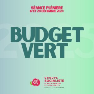 Infographie Budget Vert 2025 1/2